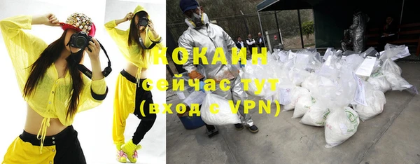 стафф Белокуриха