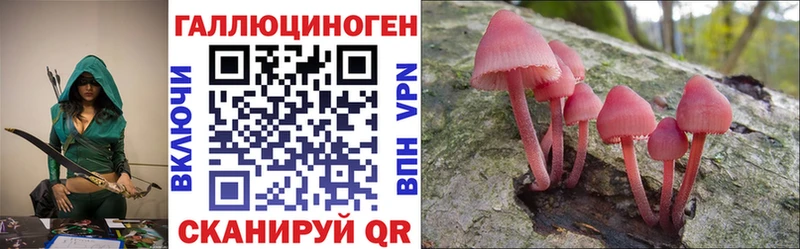 Псилоцибиновые грибы Magic Shrooms  Купить  Пучеж 