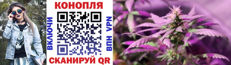Бошки марихуана планчик  Купить  Пучеж 