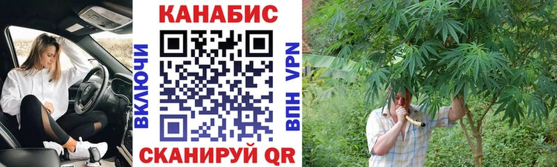 МАРИХУАНА сатива Пучеж